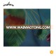 Custom 100% Chinese Silk GGT Fabric Printing For Clothes